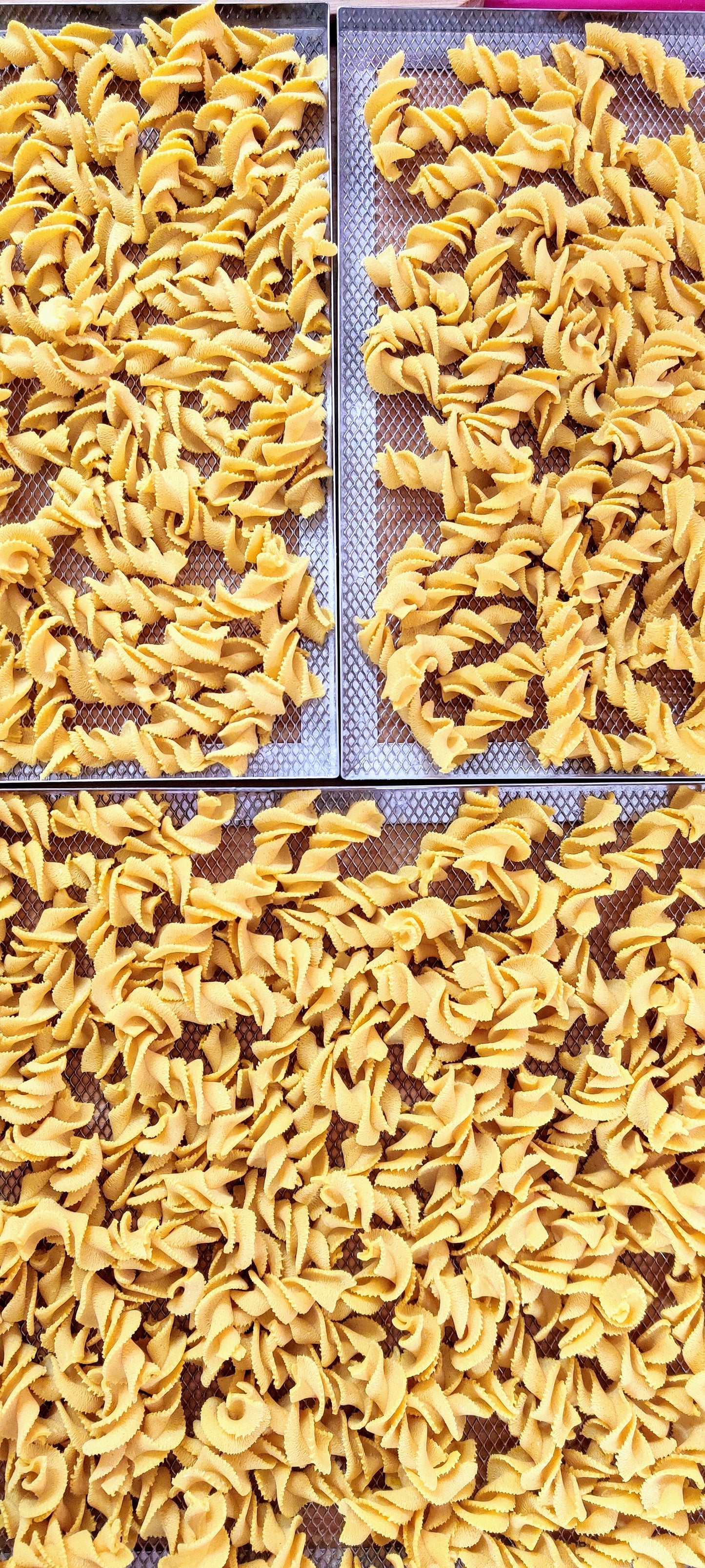 Whole Wheat Fusilli